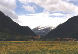 Ambri