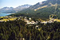 Maloja