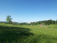 La Chaux-de-Fonds