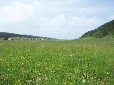 Vallée de La Brévine