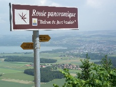 Panoramastraße