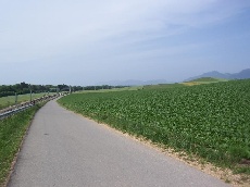 Radweg