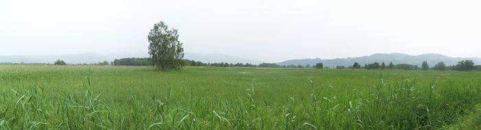 Naturschutzgebiet Rheindelta