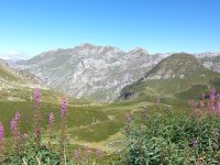 Ligurische Grenzkammstraße