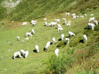 Ligurische Grenzkammstraße