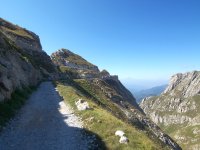 Ligurische Grenzkammstraße