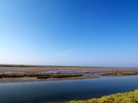 Camargue