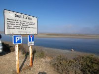 Camargue