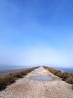 Camargue