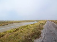 Camargue