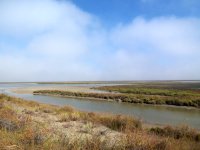 Camargue