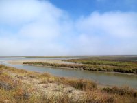 Camargue