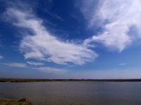 Camargue