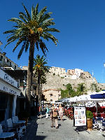 Calvi