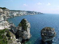 Bonifacio