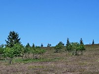 Route des Crêtes