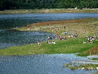 Lac de Kruth-Wildenstein