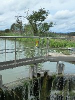 Le Canal du Rhône au Rhin