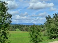 Le Canal du Rhône au Rhin