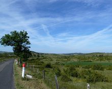 Causse Méjean