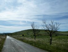 Causse Méjean