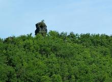 Gorges de la Dourbie