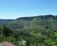 Cirque de Navacelles